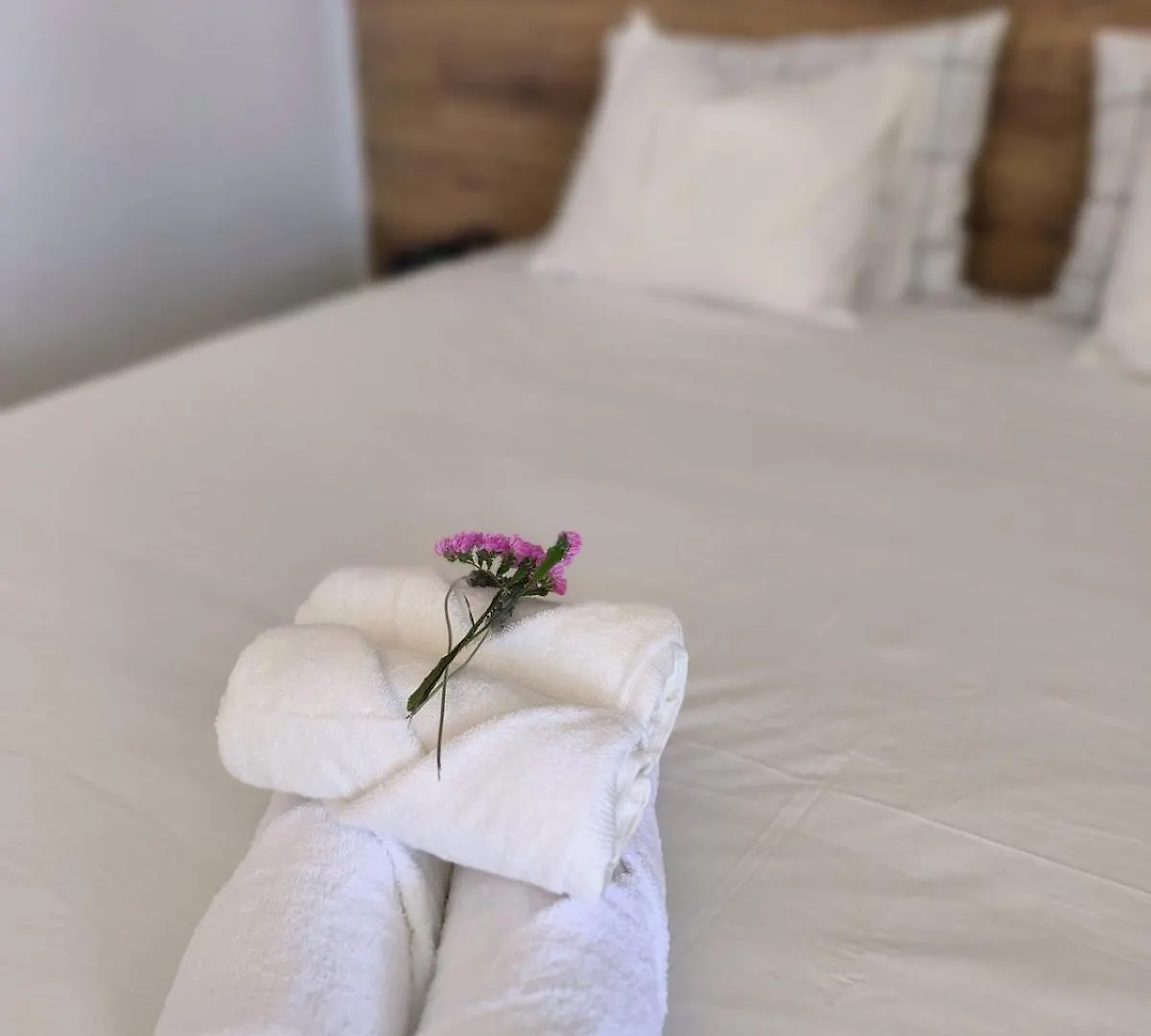 Oceansoul Tenerife San Miguel de Abona Apartamento